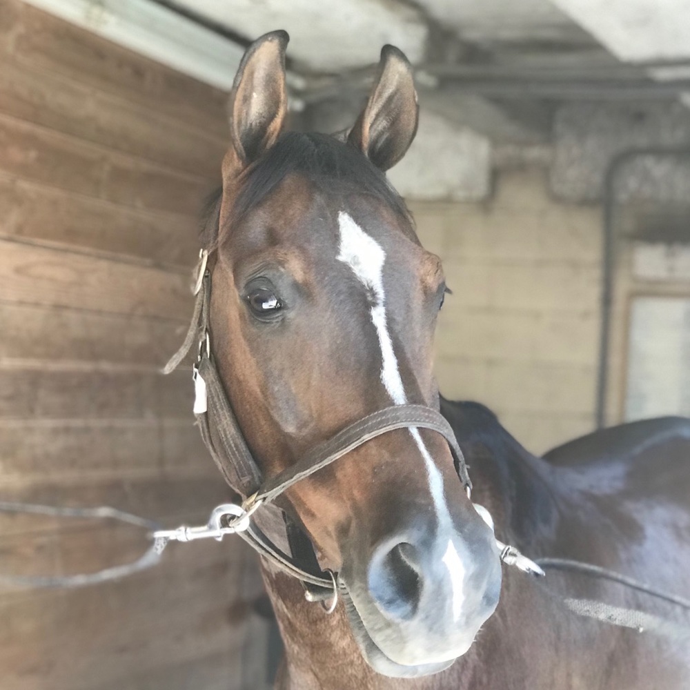 Meet your Posher, Maddy
